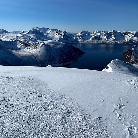Leilighet I Rorbu Pa Kaldfarnes - Yttersia Senja Extérieur photo