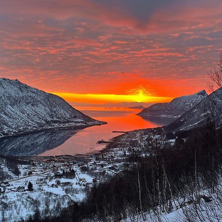 Leilighet I Rorbu Pa Kaldfarnes - Yttersia Senja Extérieur photo