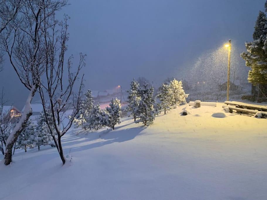 Leilighet I Rorbu Pa Kaldfarnes - Yttersia Senja Extérieur photo