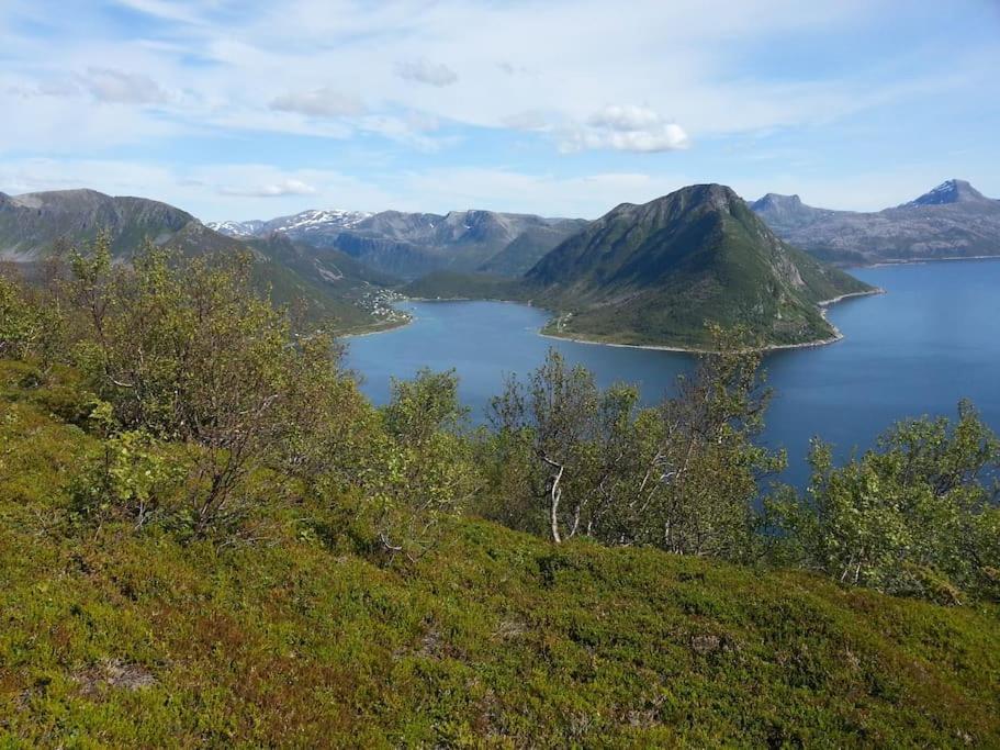 Leilighet I Rorbu Pa Kaldfarnes - Yttersia Senja Extérieur photo