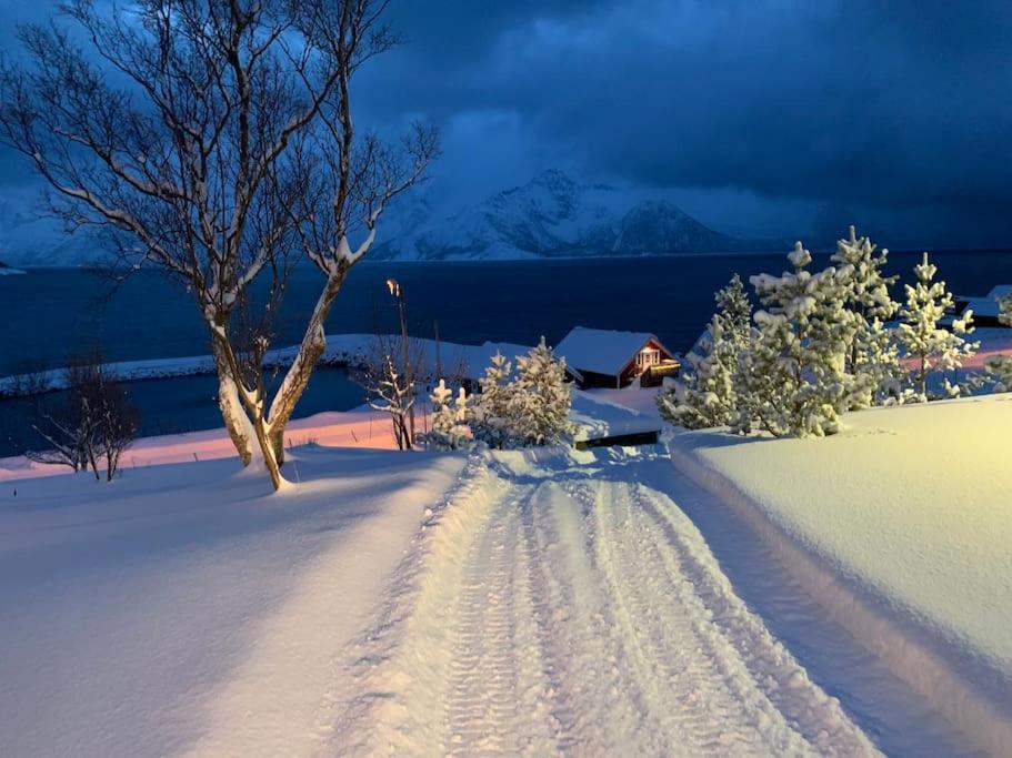 Leilighet I Rorbu Pa Kaldfarnes - Yttersia Senja Extérieur photo