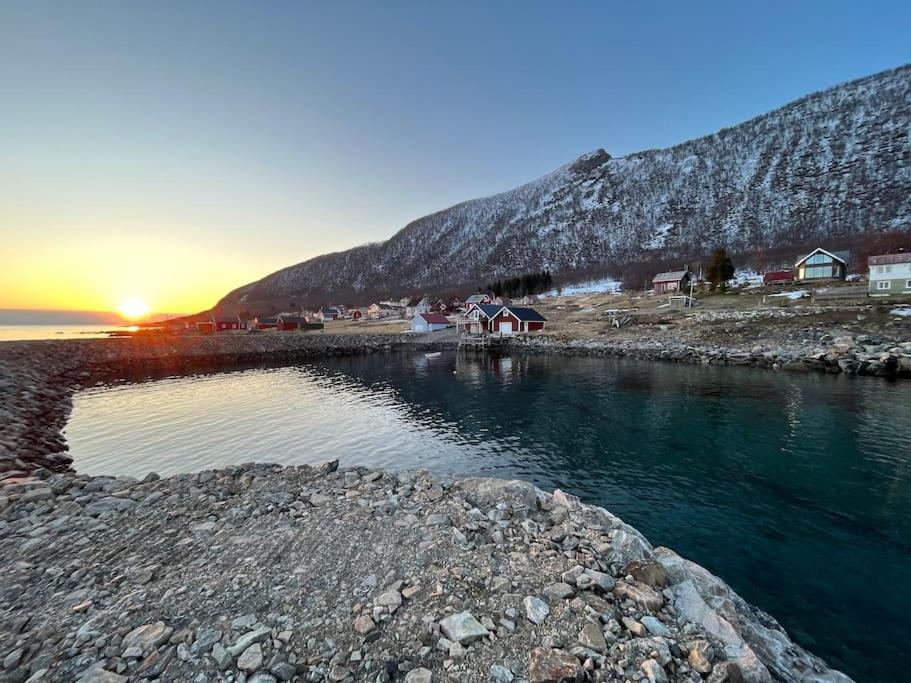 Leilighet I Rorbu Pa Kaldfarnes - Yttersia Senja Extérieur photo