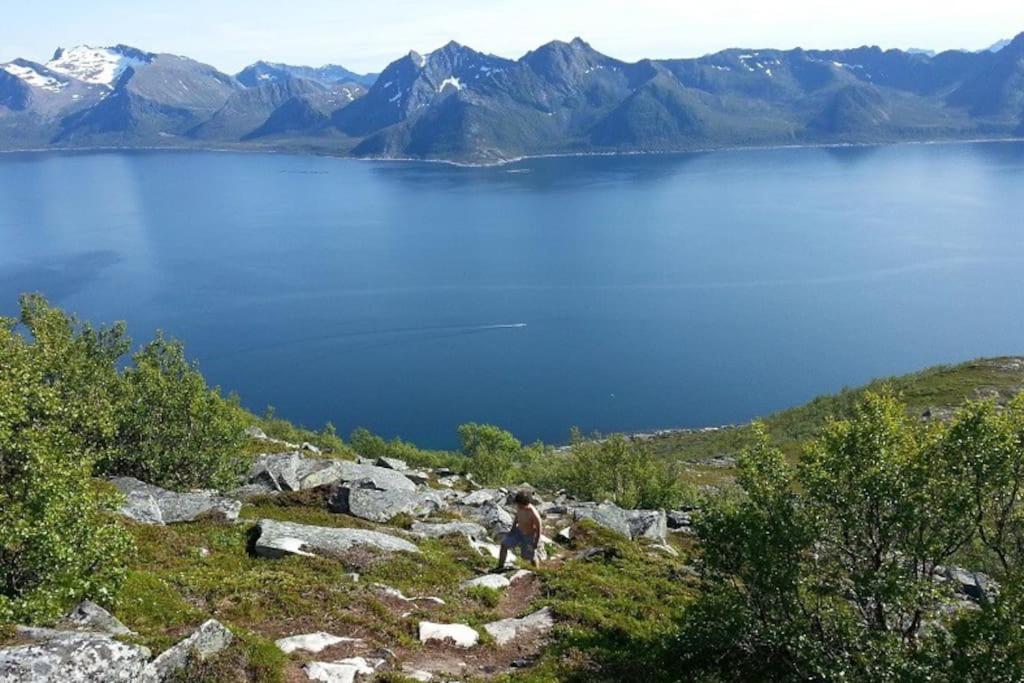 Leilighet I Rorbu Pa Kaldfarnes - Yttersia Senja Extérieur photo