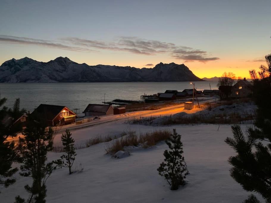 Leilighet I Rorbu Pa Kaldfarnes - Yttersia Senja Extérieur photo