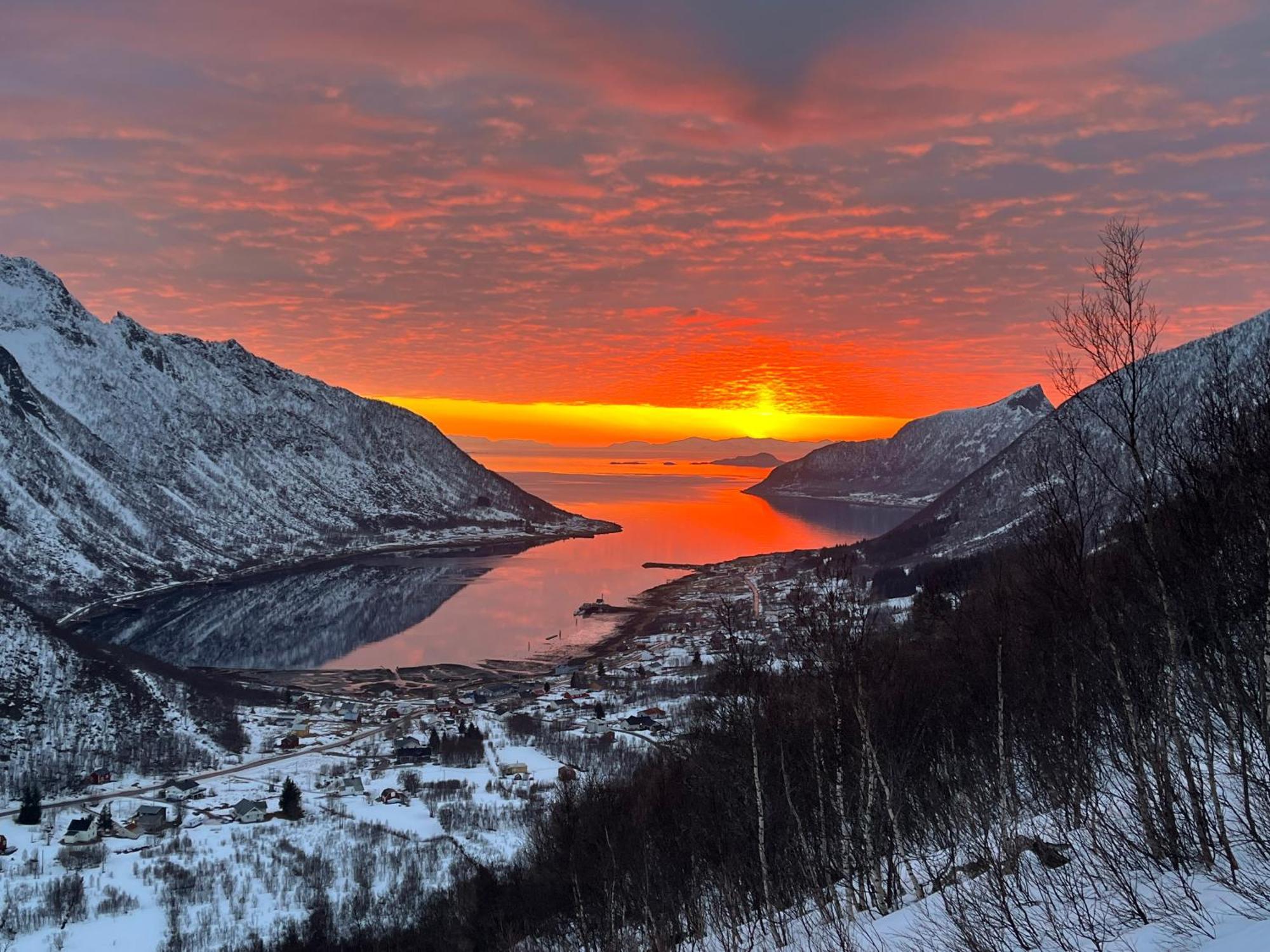 Leilighet I Rorbu Pa Kaldfarnes - Yttersia Senja Extérieur photo